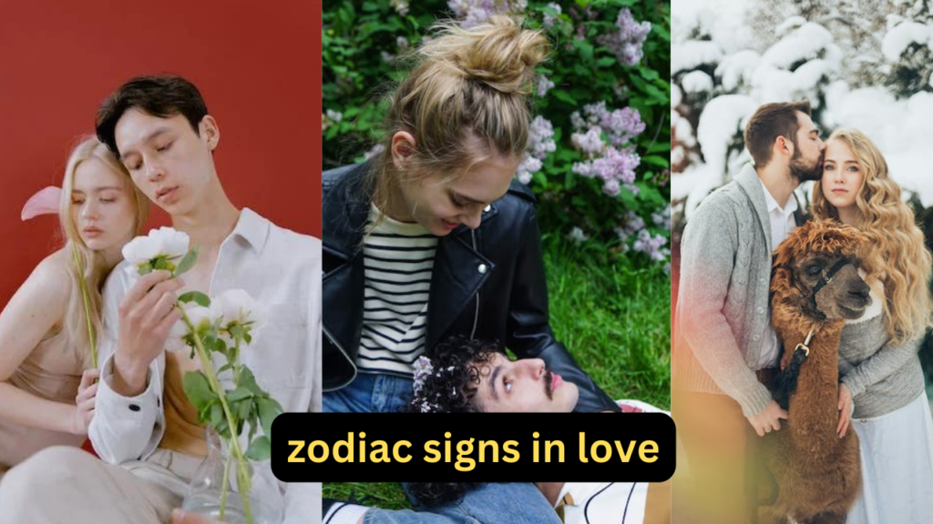 zodiac signs in love