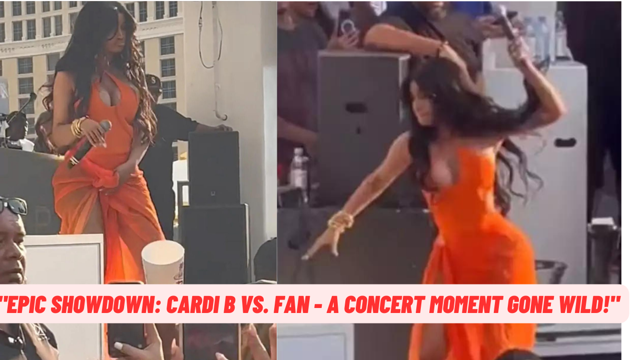 Cardi B vs. Fan