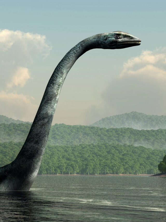 Biggest Loch Ness Monster search in 50 years to use drones and thermal ...